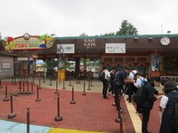 入園前、リストバンドをつけています。