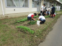 一生懸命作業をしています。